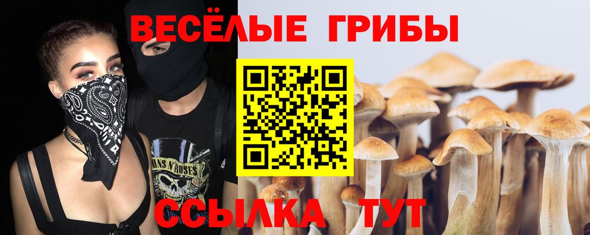 Псилоцибиновые грибы MAGIC MUSHROOMS  Вход с VPN  Морозовск  Псилоцибиновые грибы MAGIC MUSHROOMS 